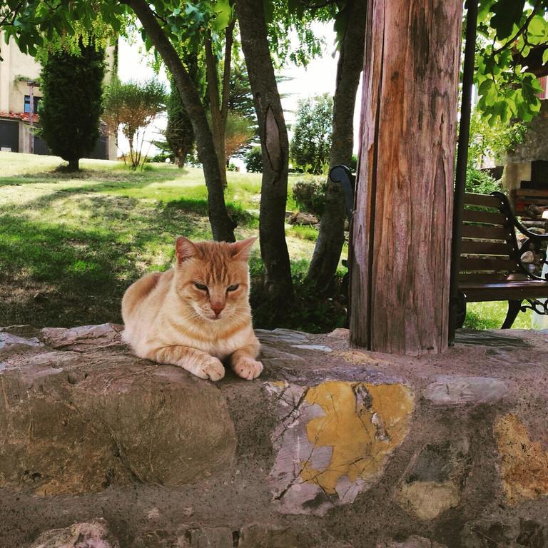 Agriturismo San Nicolo Montecastelli Pisano Eksteriør bilde